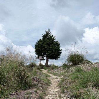 山頂に到着
