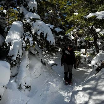 スノボで慣らしているだけあって、雪道下りも上手👏
ですが、I峰からの下りは、さすがに怖かったそうです。