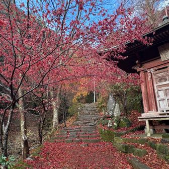 綺麗なので女坂を選択して、ケーブルカーアフリ神社駅まで登ります