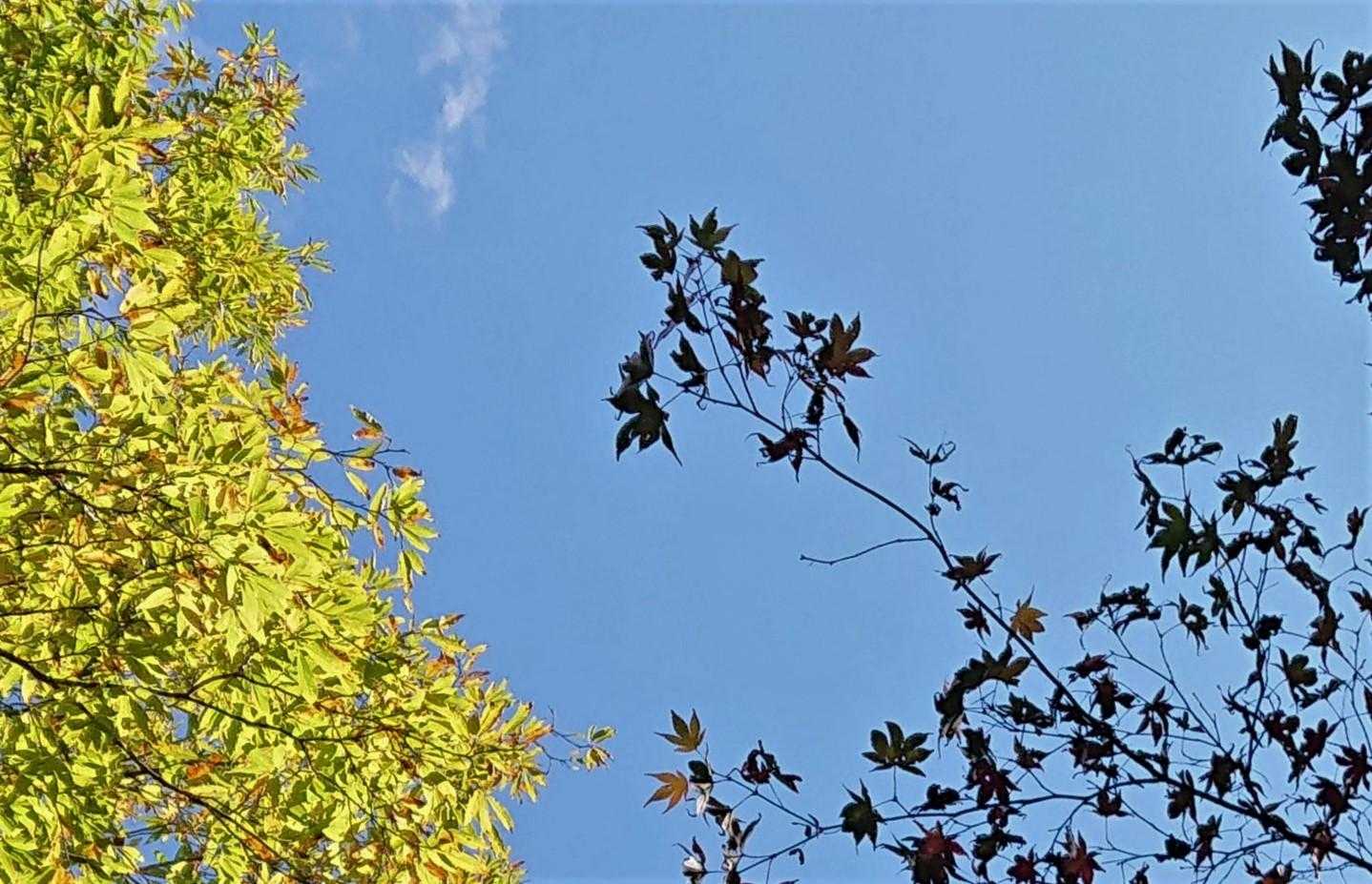下山帰路の色彩。気分が爽快。本日の山行き色彩です。