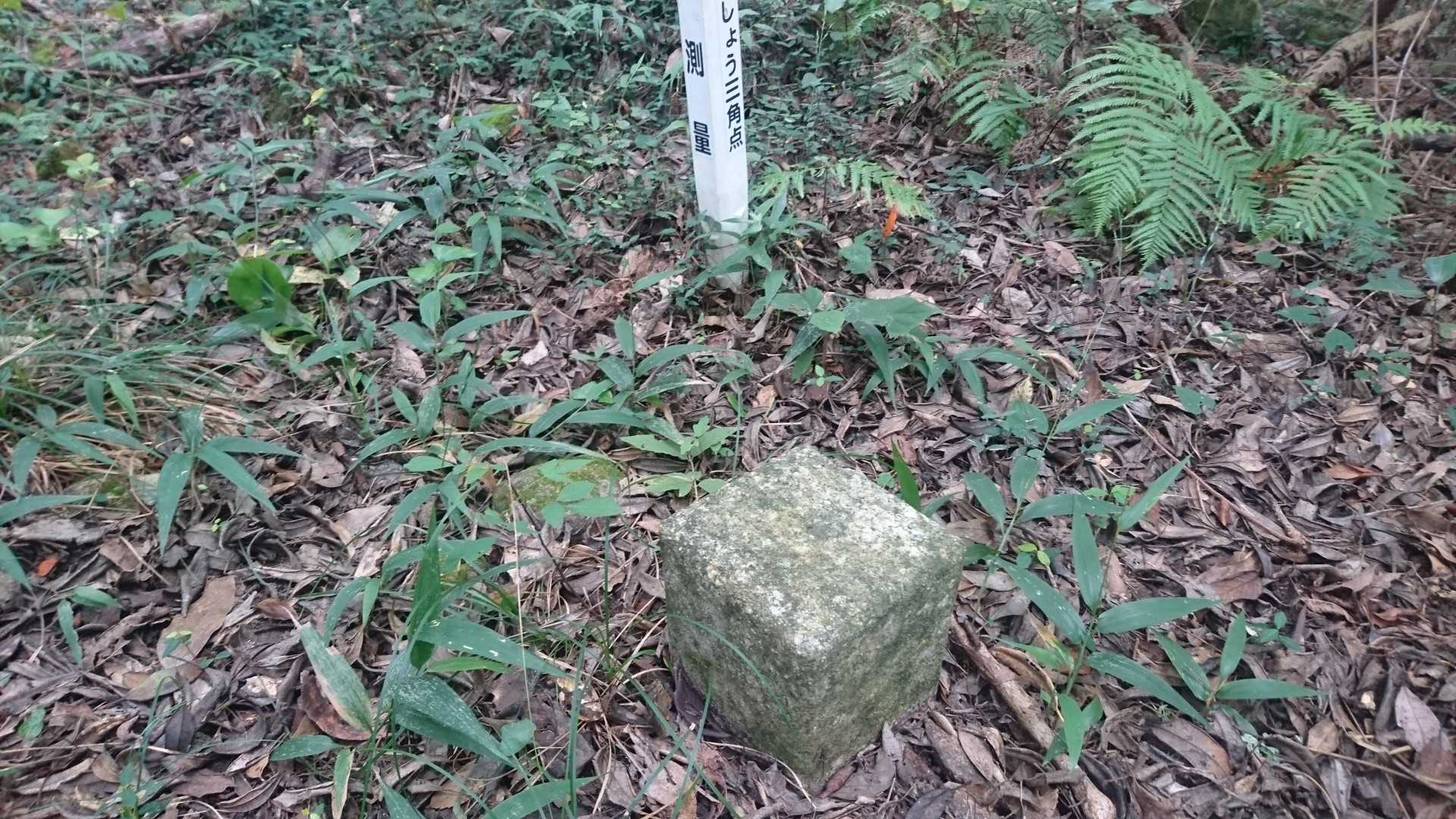 田島山山頂✨
藪蚊がすごいので、タッチアンドゴーで即下山