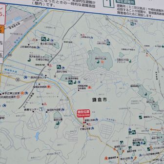 な～んださっきの大仏前のバス通りを進んでもここに着くんじゃないか(^_^;)