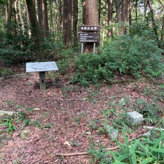 本陣山山頂　633m三角点