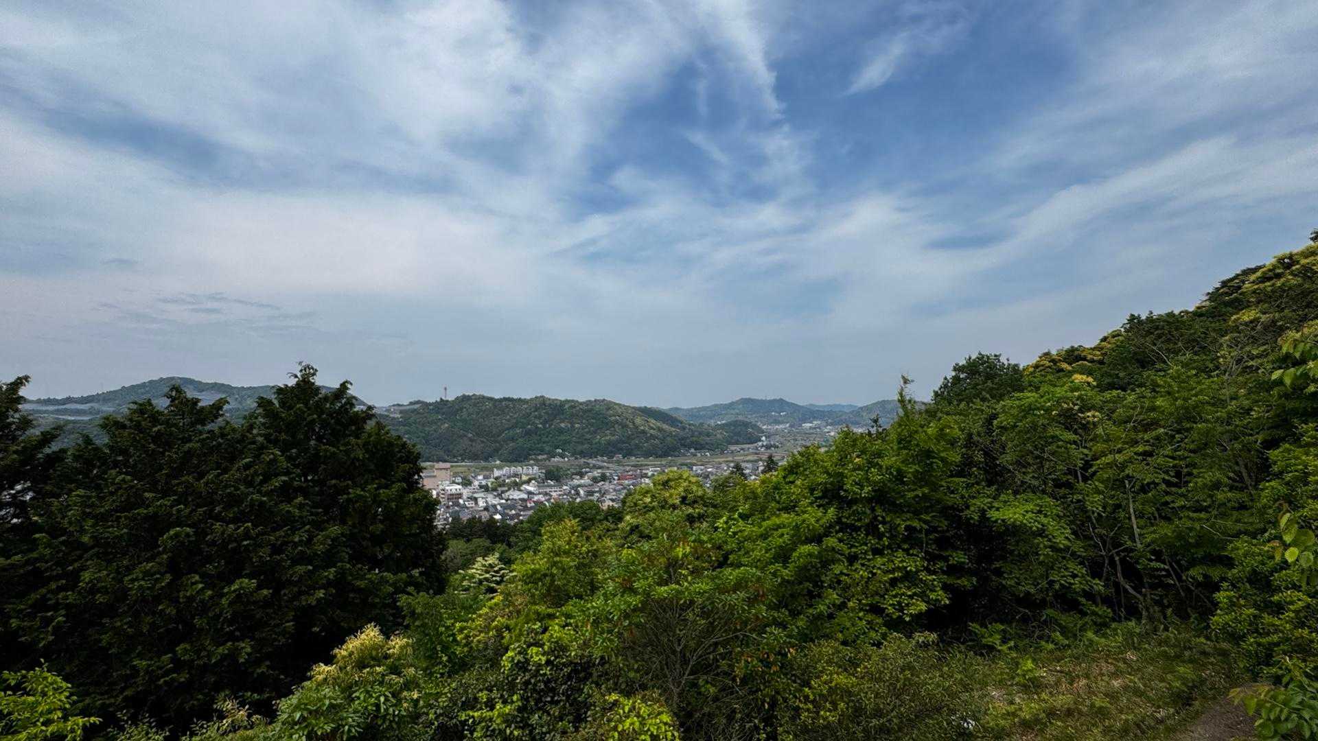 上がってみると…
まあ低いからこんなもんですよね😅