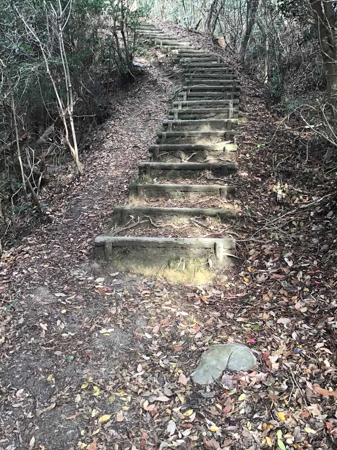 登る〜♬