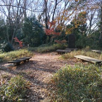 小さな富士塚もある小沢城址跡。
ここに登って来るまでの尾根筋には、空堀や井戸跡、戦時中の探照灯基地跡などもあります。