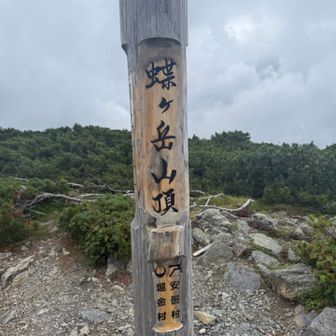 サーキットのラストは蝶ヶ岳。　ゴロゴロ鳴ってるしガスガスで何も見えないので即下山です😅