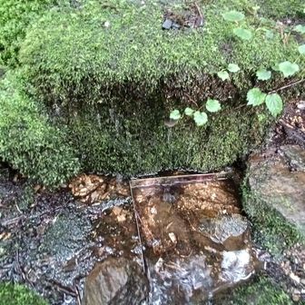 日本武尊に因んだ湧き水
ちょろちょろと流れてる💦