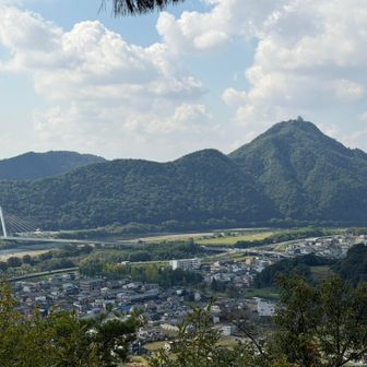志段見山からの金華山