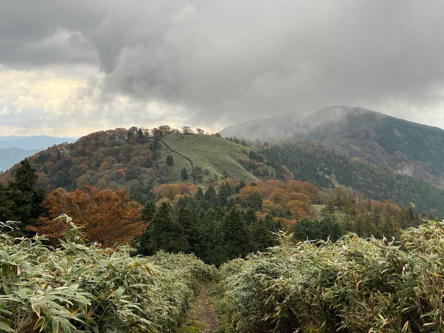 これが今日イチのショットかな📸