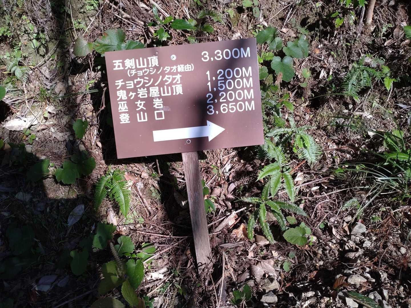 登山口に到着