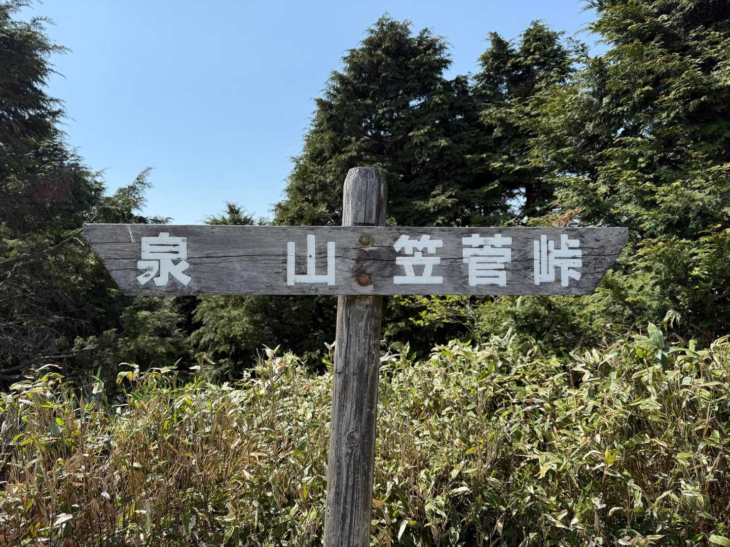 あとちょっとだよ...
みんなガンバって＼(*⌒0⌒)♪
いや‼️がんばらんでええらしい🤣
楽しくゆっくりマイペースで...