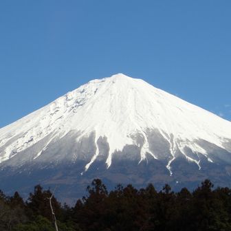 やまきょうぐー