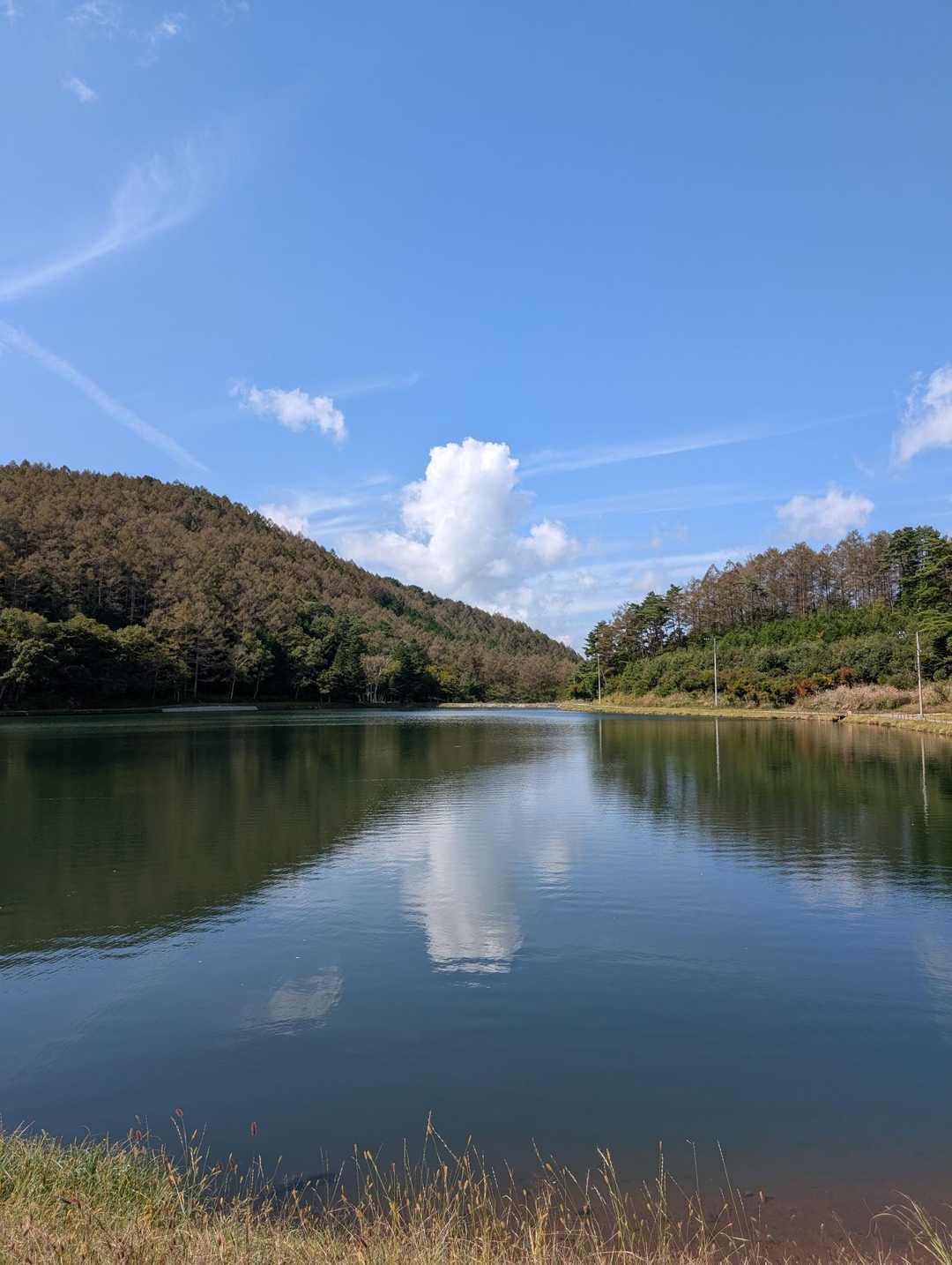 蓼の海は青空が映り込み良い感じ
