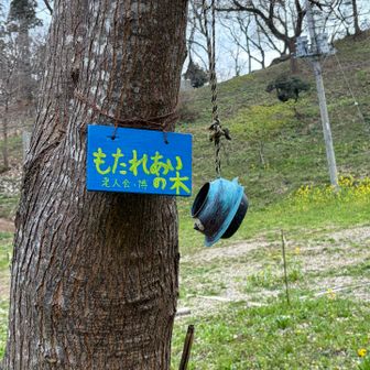 老人会　博さんの木
なんかいい💕