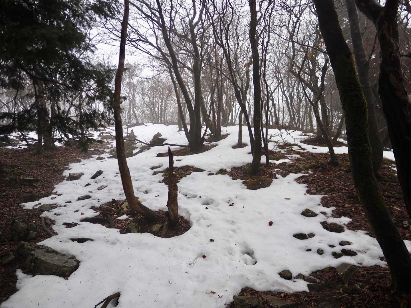 平バス停-アラキ峠-権現山 往復コースの写真