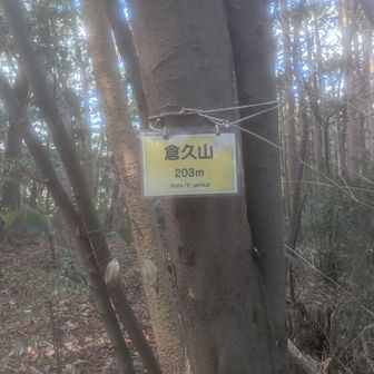 山頂に到着しました。眺望はありません。
センブツさんが設置して下さった山頂標識もあります。