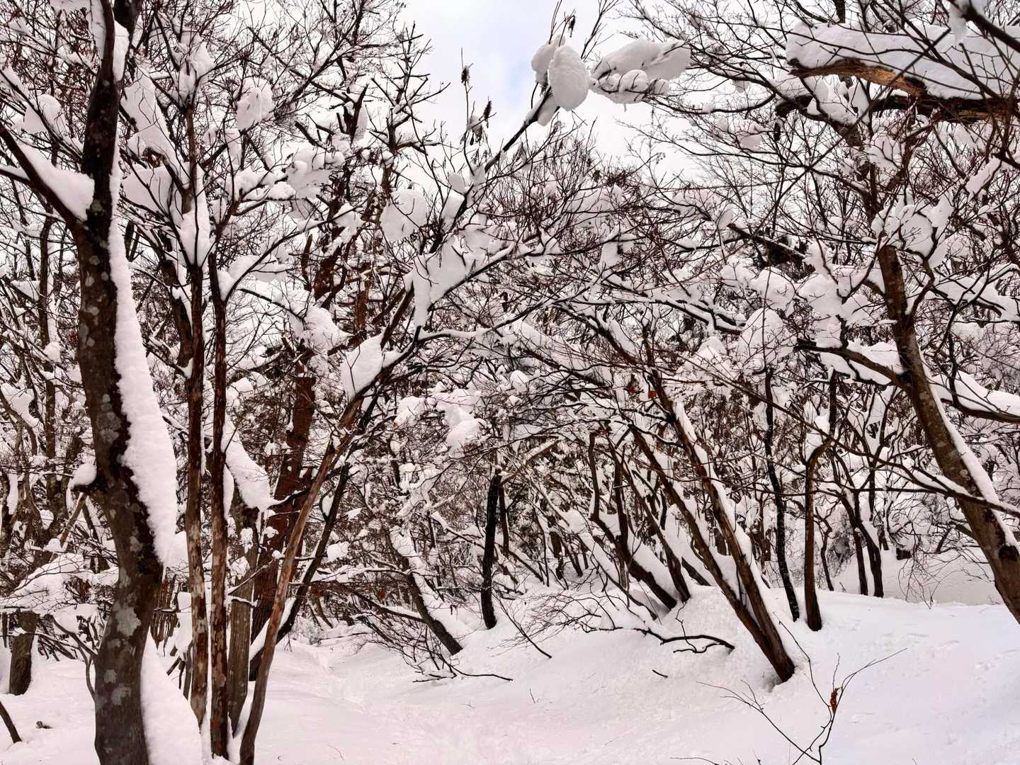 これこれ👍写真では伝わらない静寂の世界👍
