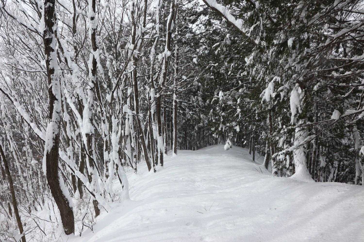 能満山虚空蔵堂-後山 往復コースの写真