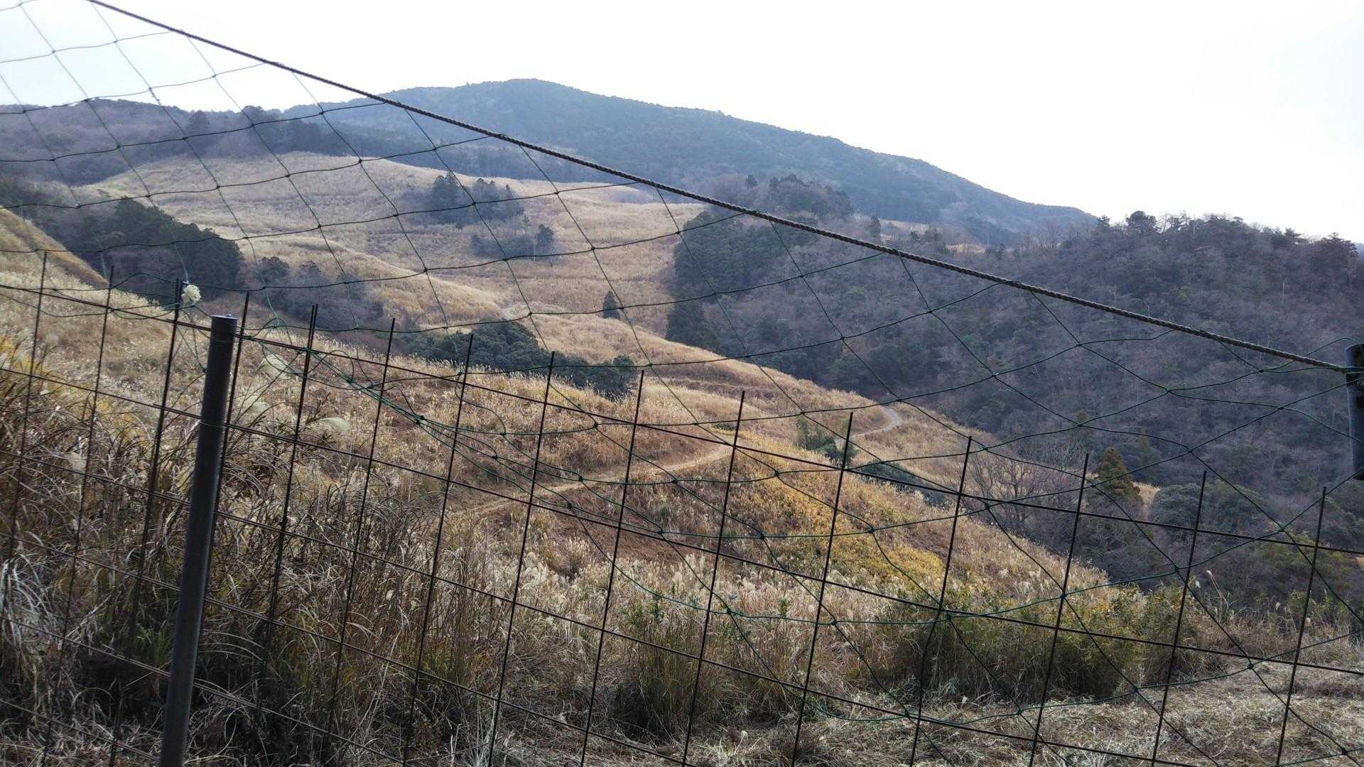 神岳登り口-神薗の頭-神岳 往復コースの写真