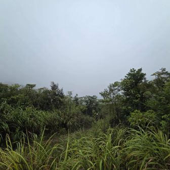 富士見岩～平尾山は全く見えず😶‍🌫️

ガスの向こうからサイレンの音が鳴り響く🚨
未明に東名下りで単独スピン事故が発生して、トラックが追突したり、それを避けようとした車が単独事故を起こし炎上したりのてんやわんやの大事故に‼️
お陰で東名下りの三ヶ日JCT→三ヶ日ICが通行止め⛔️
わき見・居眠りをせず安全運転でお願いします🙇‍♂️⤵️