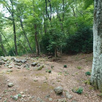 小谷城の戦いで秀吉が山の側面を駆け上り攻め込んだ場所という京極丸の虎口へ60秒で行けるようなのでちょっと寄り道。