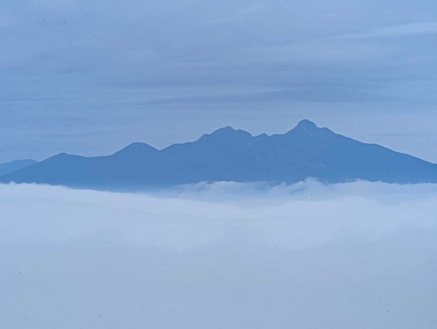 甘利山-千頭星山 往復コースの写真