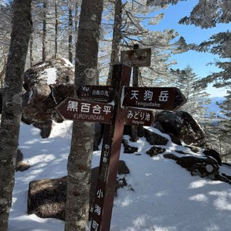 ここから先、所々トレースが無かった