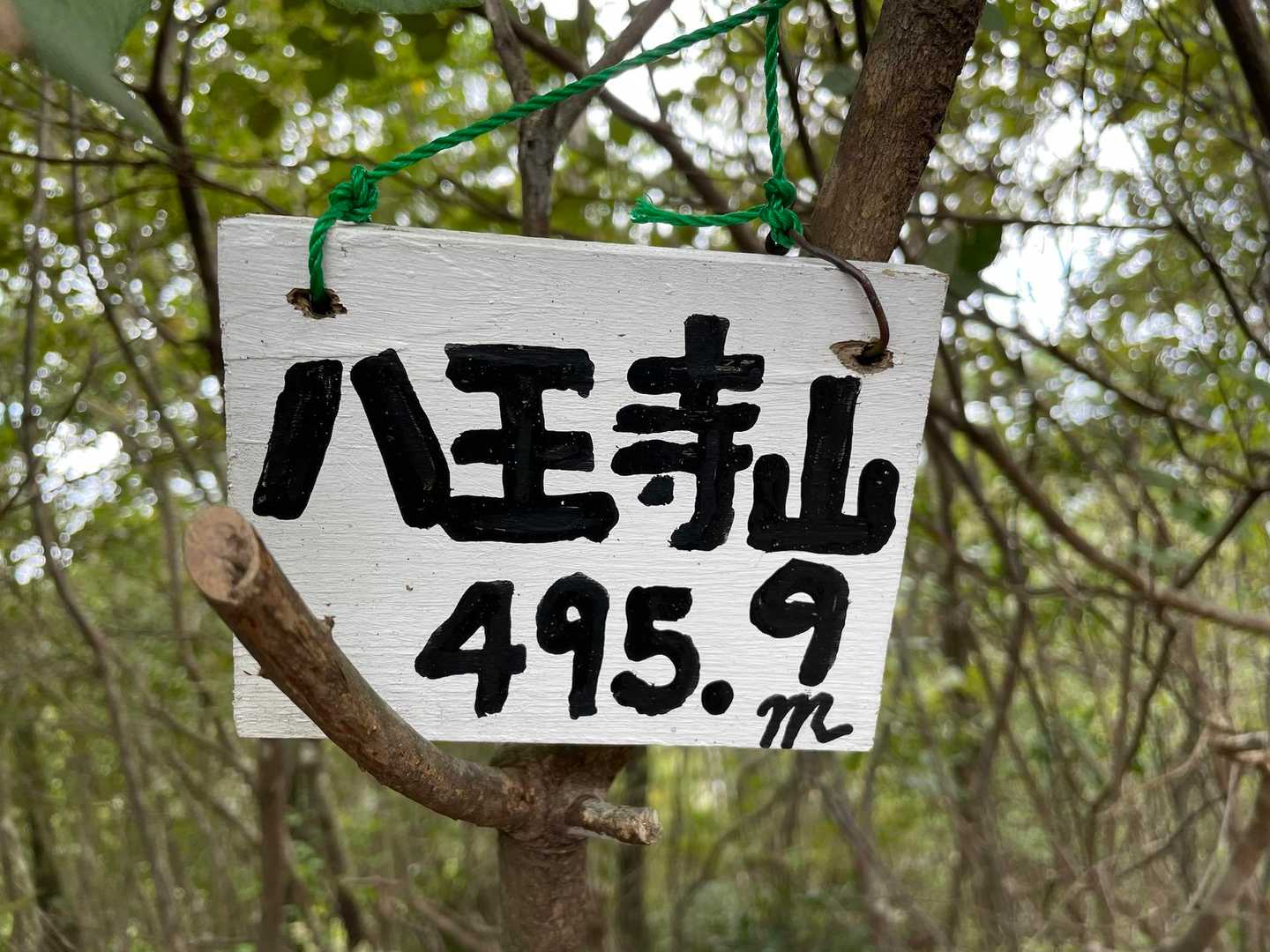 捻挫が完治していないので、ここから下山しました⛰️⛰️