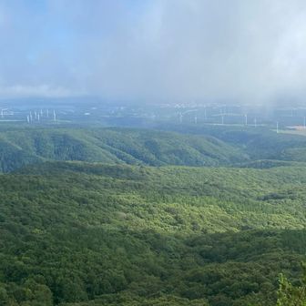 北海道と同じくらい涼しい～、そりゃすぐ上は北海道ですしね
どこか雰囲気も似ている