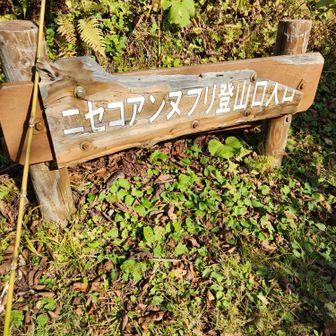 降りたタイミングで昼食とマスターの美味しいコーヒータイム

いつもはその後は下山、の流れ。今日はここからもうひと頑張り。満腹と、お茶タイム後に登る、は初めてでちょっと緊張してきた。
という流れを経て、Aプランを選んだパンダさんと一旦お別れし、３人でアンヌプリへ