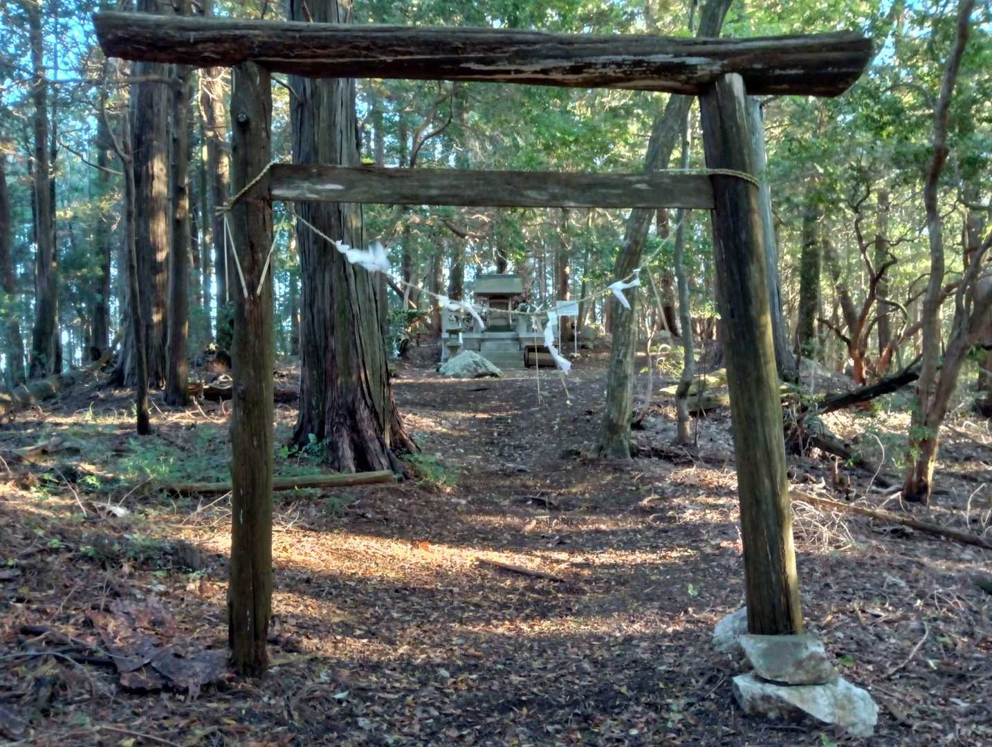 山頂の秋葉神社の⛩️