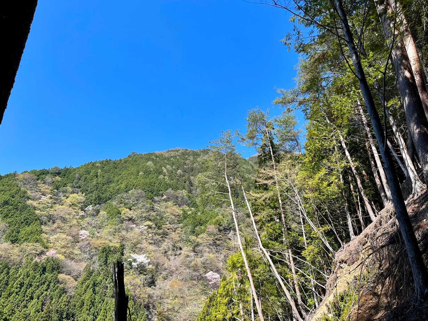 観音山。
