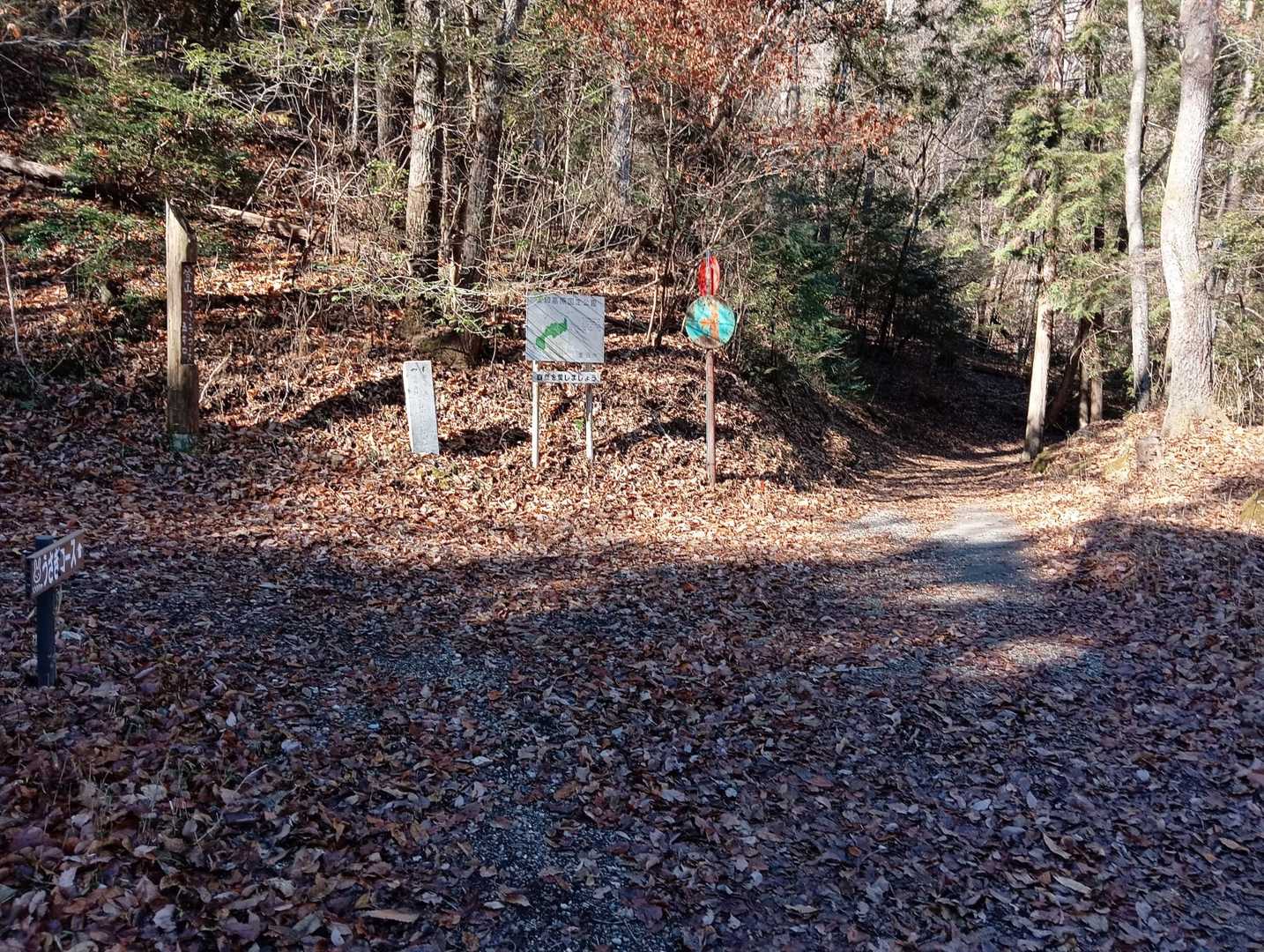 うさぎコース登山口にここから違うルートで野外センターへ🚶