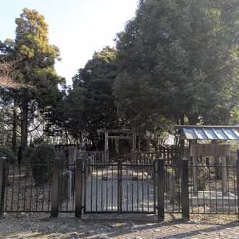 天武天皇皇子大津皇子二上山墓