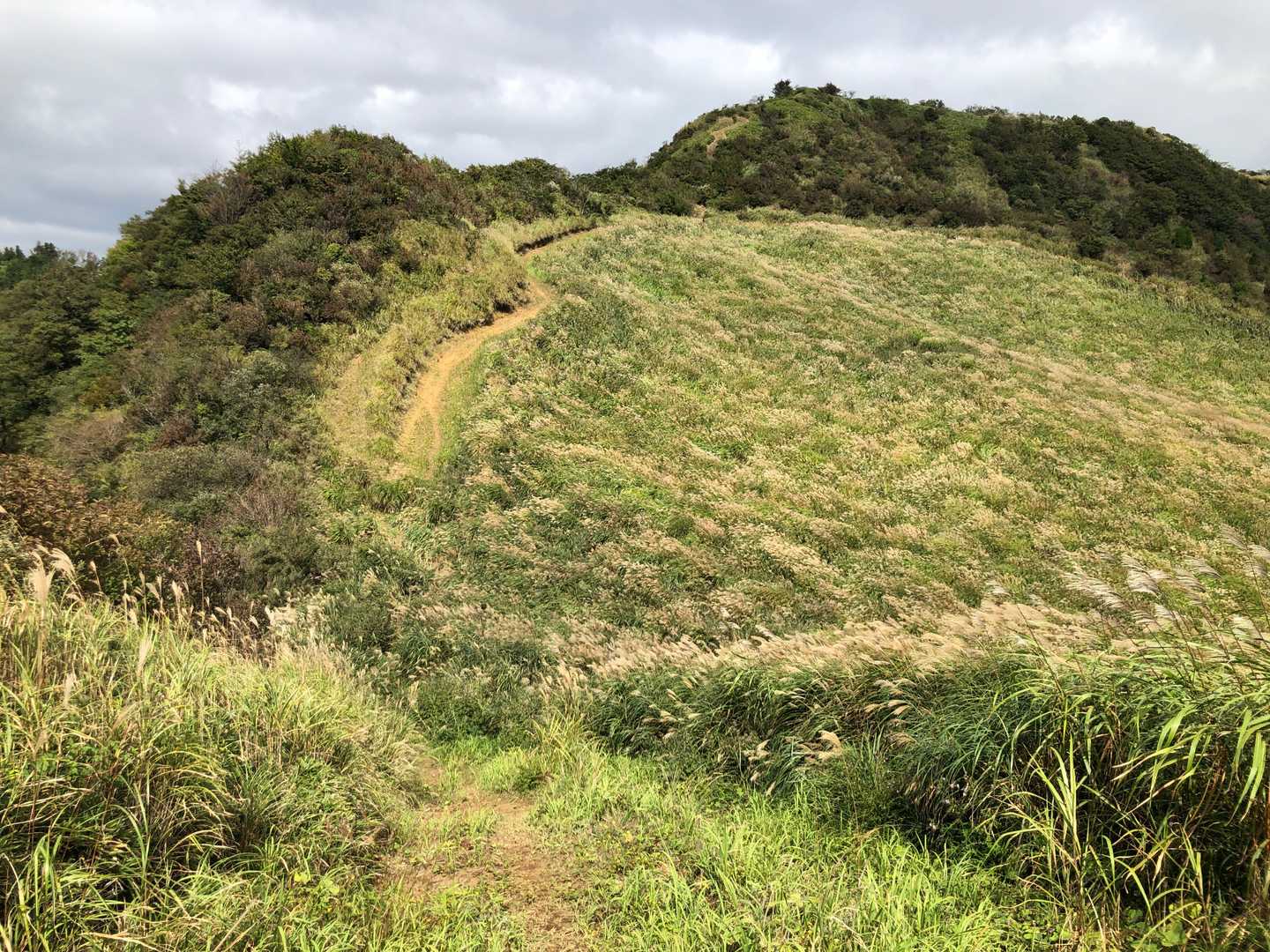 黒岩峠-清栄山-宮地嶽 往復コースの写真