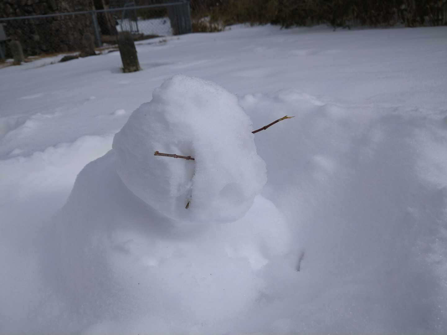 崩れかけた雪だるま⛄発見
突き刺さった枝が不気味😱