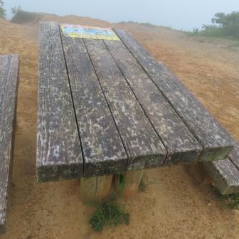 大きな雨粒が・・・