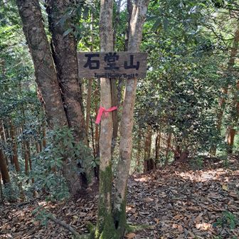 山頂看板