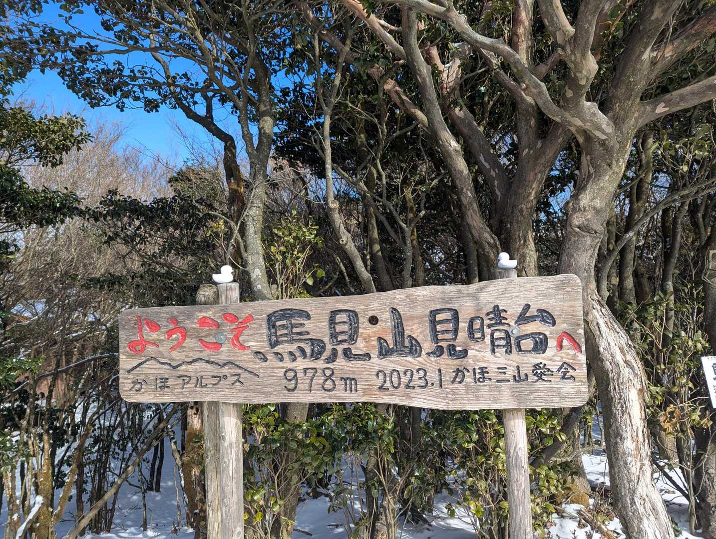 山頂は真っ青な空❄💠
うまくいく事も
うまくいかない事も
うまく乗り越えていけますように🐴✨