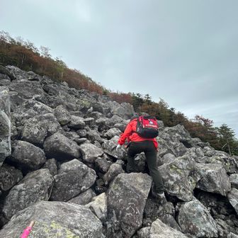 手稲山のロックガーデンみたい！

ピンテもわかりやすく続いてます✨