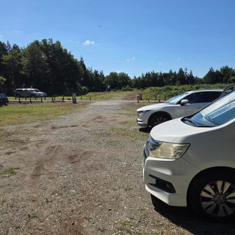駐車場には10台以上の車が停まっていました🚙