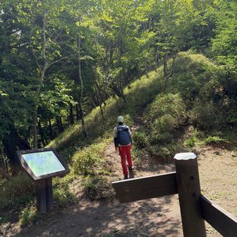 半月山までピークハントしないといけないので、ピストンしてきます⛰️