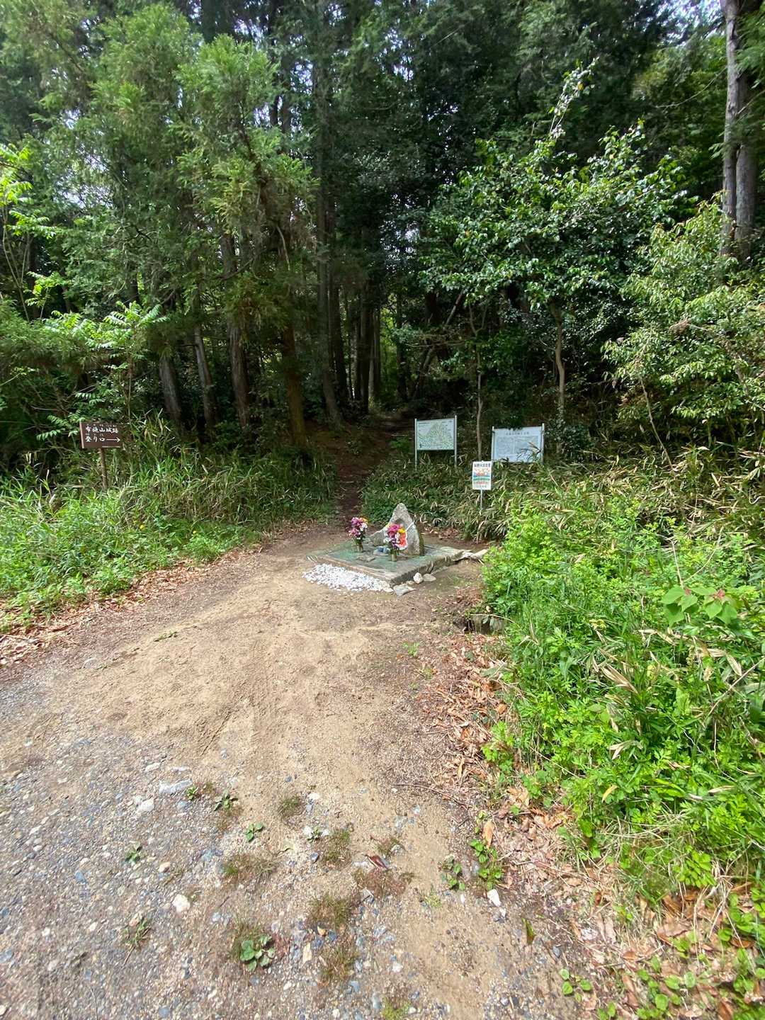 ここから登ります🥾