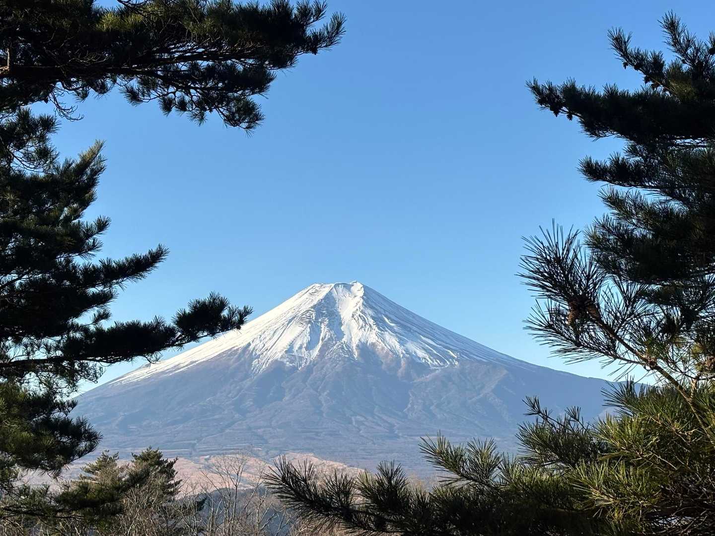 松がちょっと邪魔だなぁと思ったけど、写真にするといい感じ