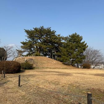 かの有名な
角力取山
登山ルート無し
バリルート😂