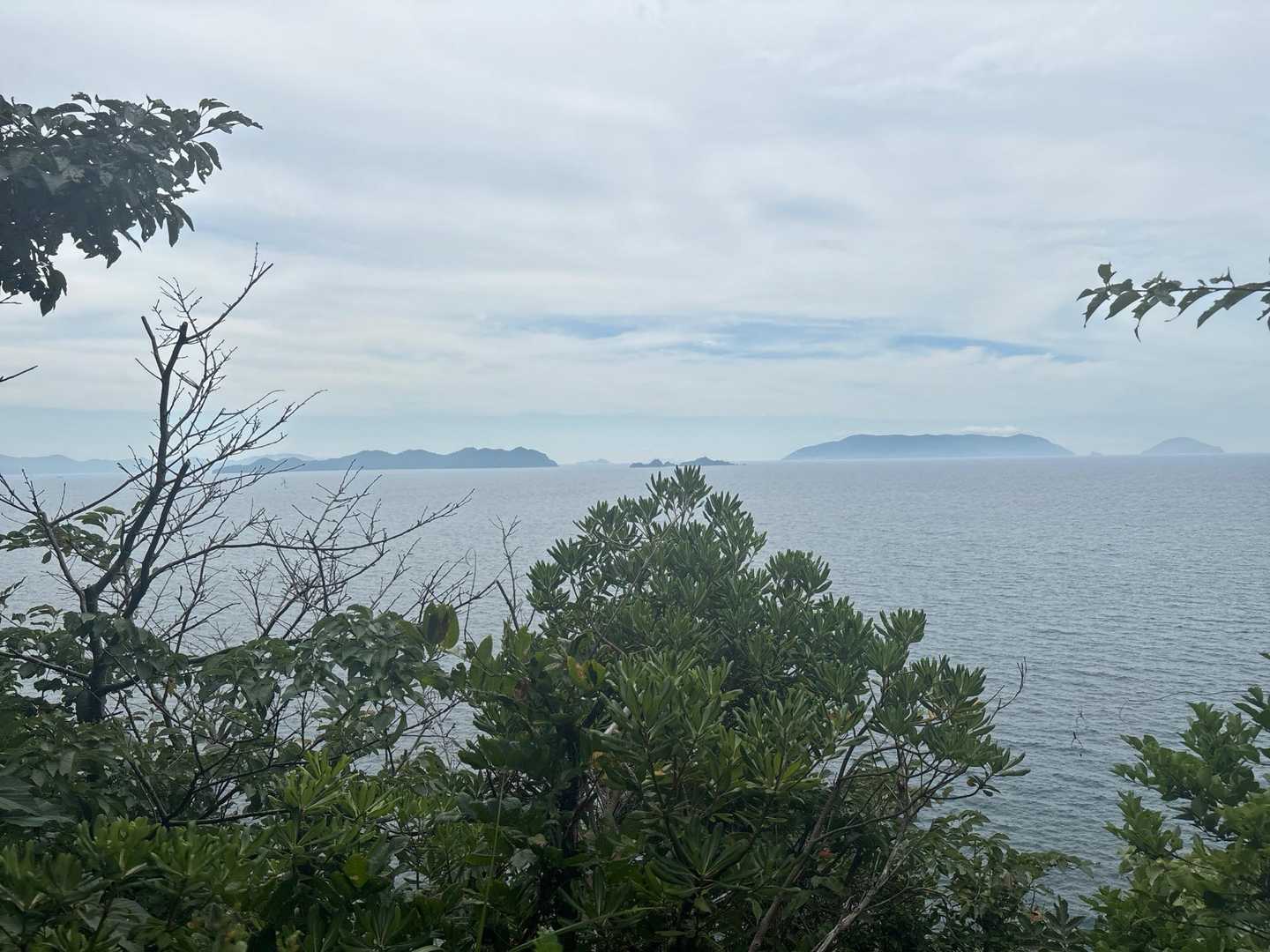 海🌊見えてきたぞ