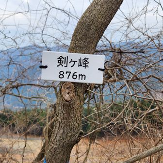 名札作ってきました。どうでしょう？　