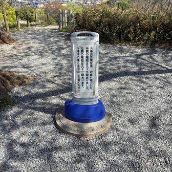 この中に三角点があります