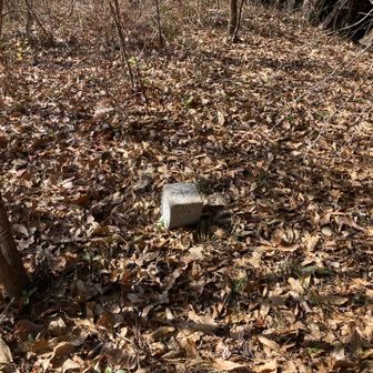 標識の無い三角点だけの山頂。下りは別ルートへ。